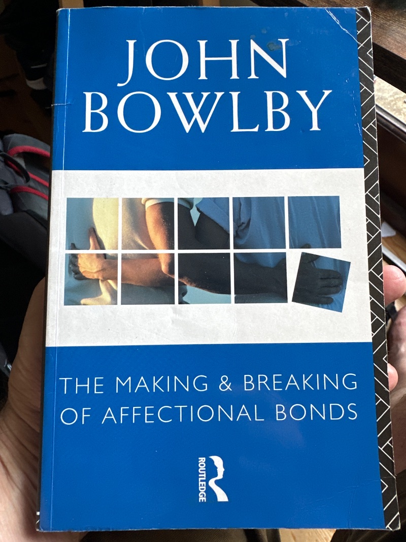 The making & breaking of affectional bonds